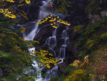 2023关于秋天的唯美又治愈的文案 最新版秋季发朋友圈的短句