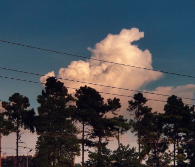 关于抉择的朋友圈文案 选择左右不定的难过句子