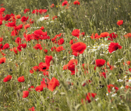 2023九月请对我好一点的句子 九月你好的唯美短句