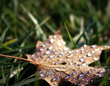 秋雨绵绵的唯美句子朋友圈 秋天下雨的好听文案大全