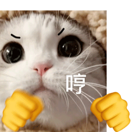 2023小动物打拳GIF搞笑表情精选 最新版很可爱很爆笑的gif表情合集