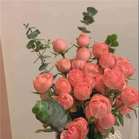 2023好看又很舒心的朋友圈背景图 让人感觉很有质感的图片素材合集