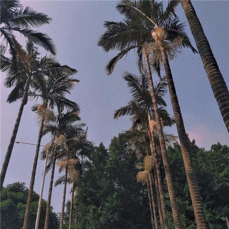 个性又比较霸气的好看朋友圈背景素材 异地恋固然有距离但爱没有学过地理