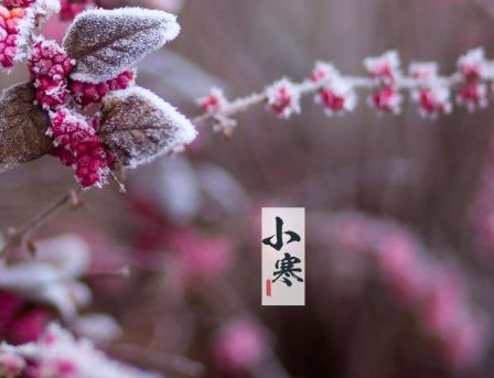 2023小寒节气的好听祝福语 小寒节气的温馨祝福语录