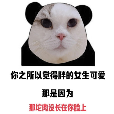 2023很搞笑又很有趣的聊天表情 为什么凌晨的手机这么好玩早上的觉那么好睡