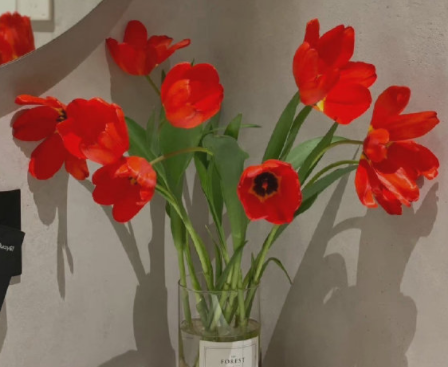 独一无二的霸气女生的微信昵称 2023御姐范的网名大全