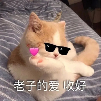 群聊斗图专用表情包2023最新 天天为了那几个臭钱心脏都要停了