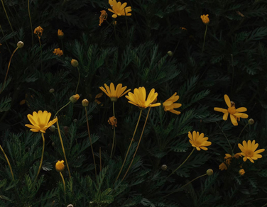 伤感说说2023最新致自己 2023最扎心的伤感短句