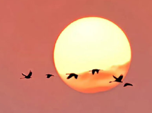 生活签名很好听的简短 生活个性签名唯美句子 生活签名很好听的简短 生活个性签名唯美句子