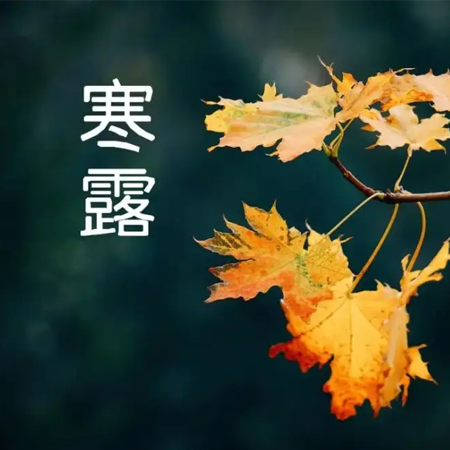 2023寒露节气发朋友圈的唯美高清配图 美好且心动的唯美素材合集