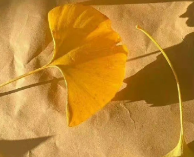 淋过雨的人总想为别人撑伞的句子 自己淋过雨总想替别人撑把伞的文案 淋过雨的人总想为别人撑伞的句子 自己淋过雨总想替别人撑把伞的文案