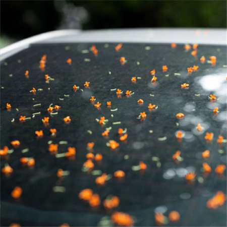 干净舒服的ins背景图最新版 特别温柔特别神仙的ins背景