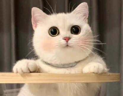 孤独的男生签名简短 悲凉孤独个性签名 孤独的男生签名简短 悲凉孤独个性签名