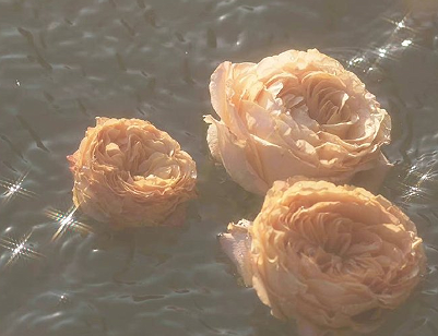 不可触碰的伤个性签名 疼到骨子里的个性签名 不可触碰的伤个性签名 疼到骨子里的个性签名