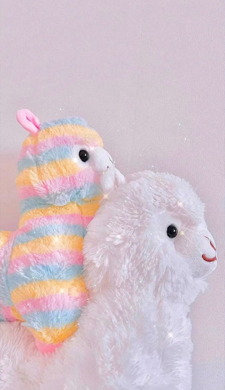 壁纸很火爆的壁纸高清无水印 今年冬天大家都会遇到心软的人