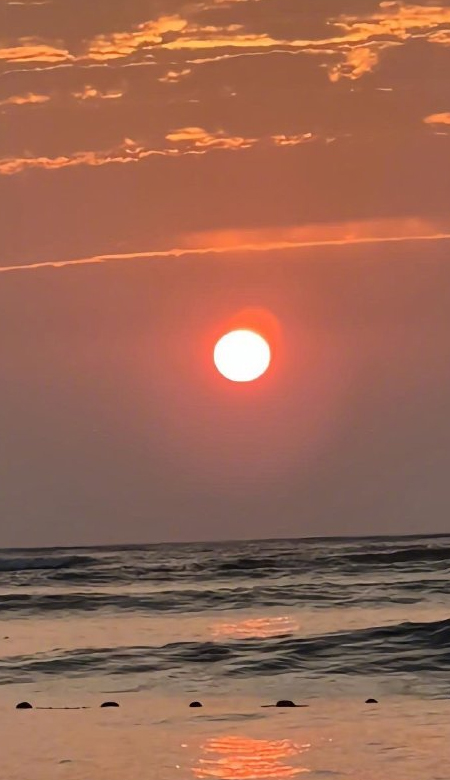 每一张都觉得好看的壁纸 风也变的越来越温柔啦