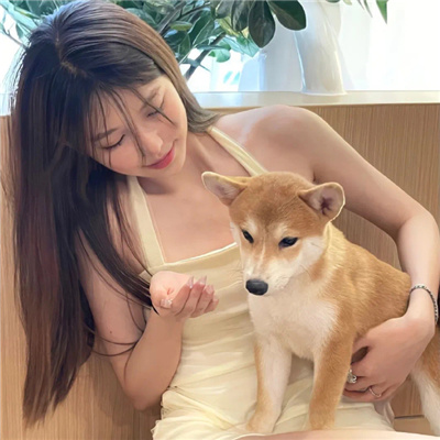 氛围感满满的情头超级有意境 很流行的情头热门很火