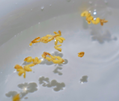 成熟理性的网名最新 比较理性的网名大全 成熟理性的网名最新 比较理性的网名大全