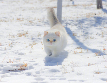 2022十一月你好说说大全 十一月你好微信说说精辟