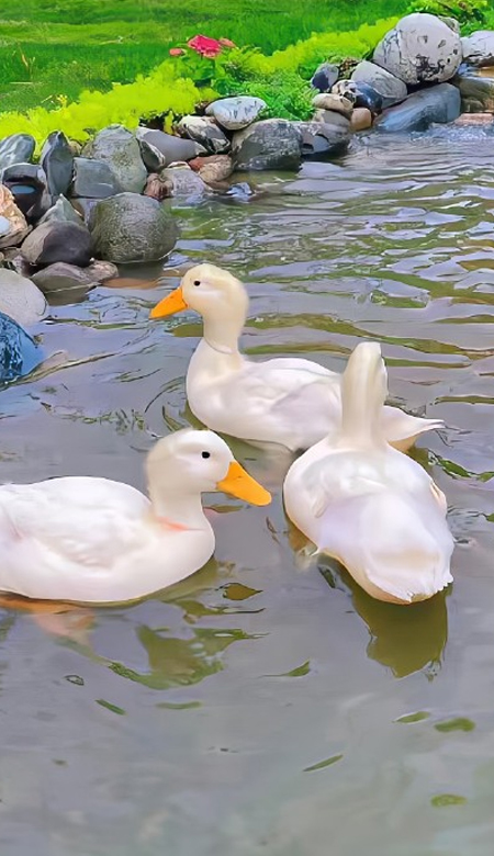 扣人心弦的很好看的壁纸合集 精致感满满的壁纸2023