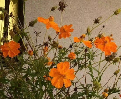 令人心塞的语录短句 句句伤感到心坎的语录 令人心塞的语录短句 句句伤感到心坎的语录