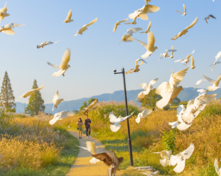 秀恩爱吃狗粮签名很甜 很可爱的秀恩爱的签名 秀恩爱吃狗粮签名很甜 很可爱的秀恩爱的签名