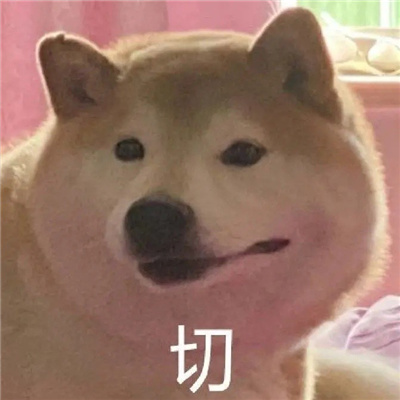 用来嘲讽别人的狗狗表情 让我看看你有几分几两