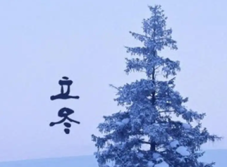 立冬唯美伤感语录最新 2023立冬句子唯美简短