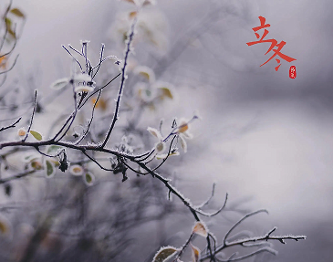 2022立冬节气早安祝福语大全 二十四节气立冬朋友圈短句