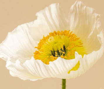 高情商风趣个性签名短句 高情商内涵个性签名简短 高情商风趣个性签名短句 高情商内涵个性签名简短