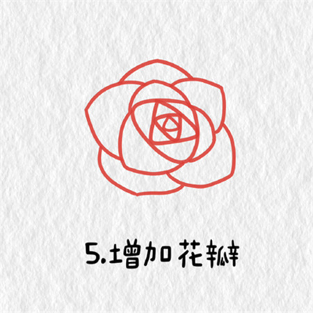 玫瑰花简笔画教程合集简单漂亮  简单又好看的玫瑰花教程