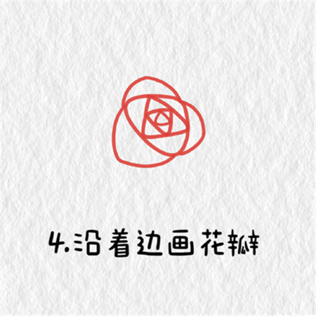 玫瑰花简笔画教程合集简单漂亮  简单又好看的玫瑰花教程