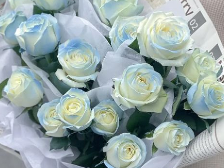 关于玫瑰花的签名浪漫 温柔的玫瑰签名唯美 关于玫瑰花的签名浪漫 温柔的玫瑰签名唯美