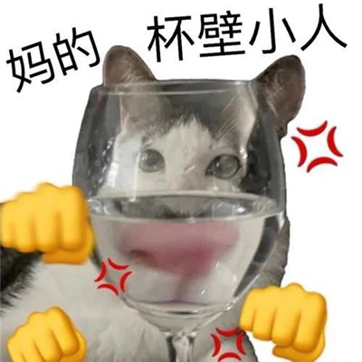 优质的斗图必备表情很酷很拽 很叼很拽的表情