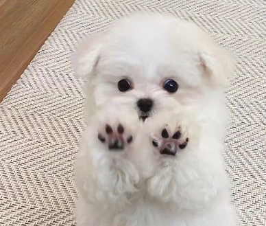 让你心情变好的快乐签名 吧唧一口吃掉难过 让你心情变好的快乐签名 吧唧一口吃掉难过