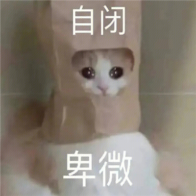 让你瞬间变的开心起来的表情 你就当我提前死了吧