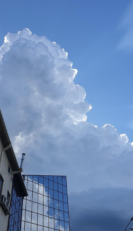 仙气加倍的女生壁纸高清 我什么都能抗拒除了诱惑