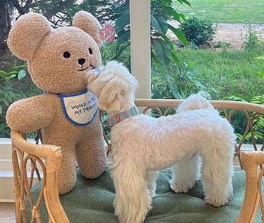 暗黑系的冰冷网名 冷酷黑暗系简单昵称 暗黑系的冰冷网名 冷酷黑暗系简单昵称