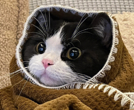 温柔到让人心疼的网名 深情又好听的网名