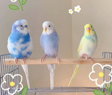 冷酷有格局的个性签名 别具一格的超拽签名 冷酷有格局的个性签名 别具一格的超拽签名