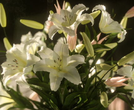 关于婚姻不幸福的简短个性签名 婚姻失败不幸福的签名 关于婚姻不幸福的简短个性签名 婚姻失败不幸福的签名