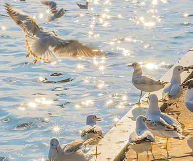 看破红尘的心情说说 看破红尘看淡一切绝望语录