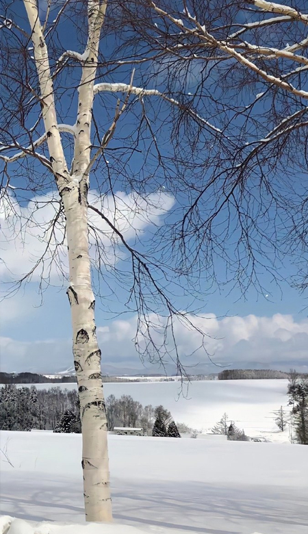 最漂亮的最质感的壁纸合集 希望这个冬天有人陪你一起踩雪吃火锅