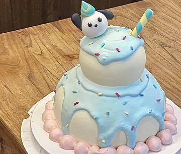 一听就被哇塞到的可爱文案 2023可爱到爆炸的文案