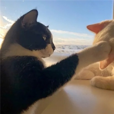 适合小号用的cp感情头 闺蜜情头都可以用的撩人头像