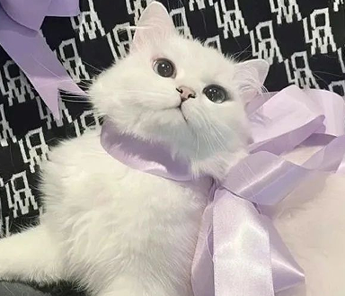 吐槽一个人很吝啬的说说 讽刺抠门人的经典说说 吐槽一个人很吝啬的说说 讽刺抠门人的经典说说