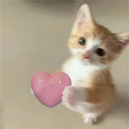 超级好用又超级温柔的背景素材 治愈感十足的气质素材合集