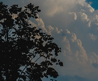 我的女孩一不小心就长大了说说 感慨女儿长大唯美句子