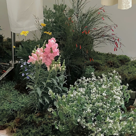 一切美好如约而至的唯美图片 愿你被喜欢的事填满生活