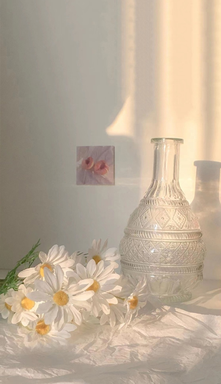 2023气质好看的春天女生手机壁纸 全面屏很高级的又很干净的女生壁纸